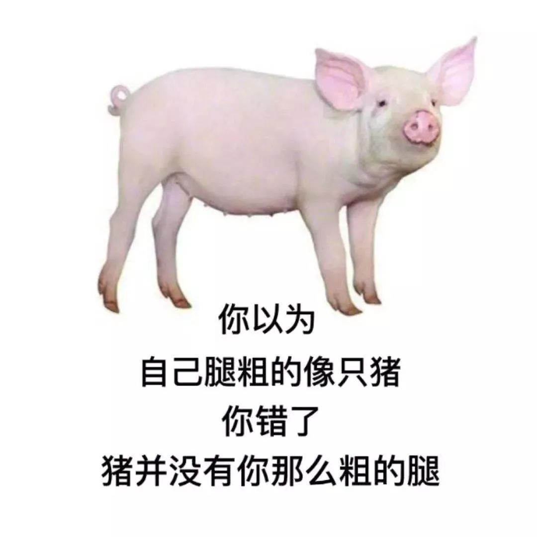 猪的体尺测量-养猪-专业词典
